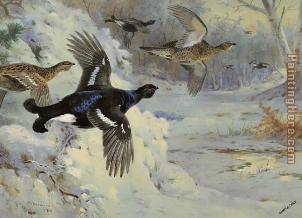 Through the Snowy Coverts painting - Archibald Thorburn Through the Snowy Coverts art painting